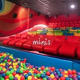 MINIS